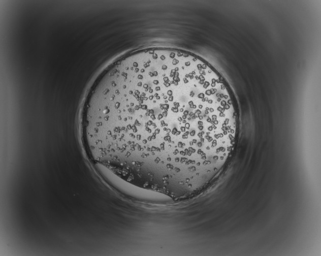 X0000087511341200705251611