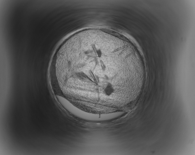 X0000087511344200705251611