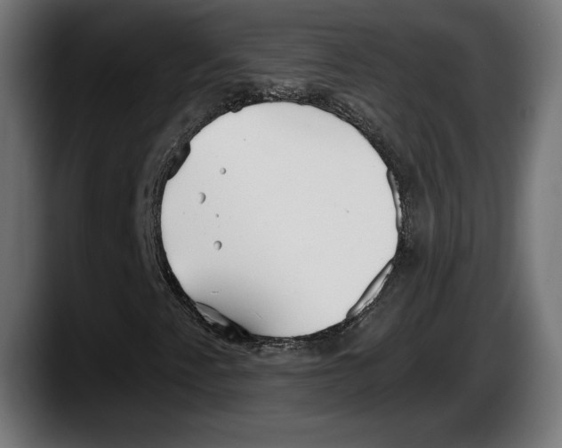 X0000087511345200705251610