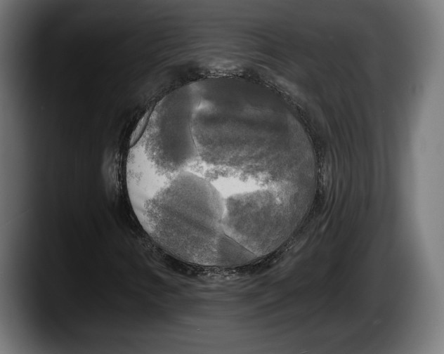 X0000087511346200705251610