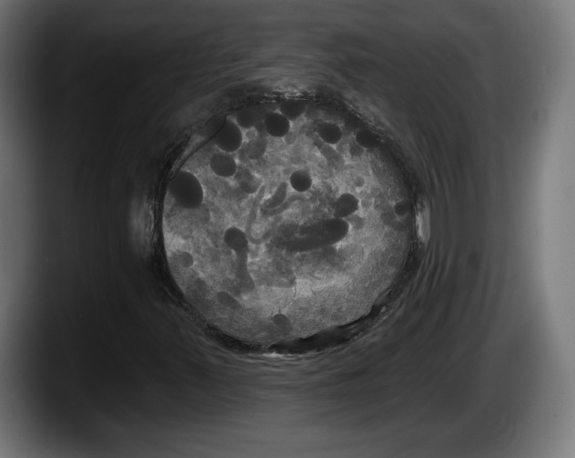 X0000087511347200705251610