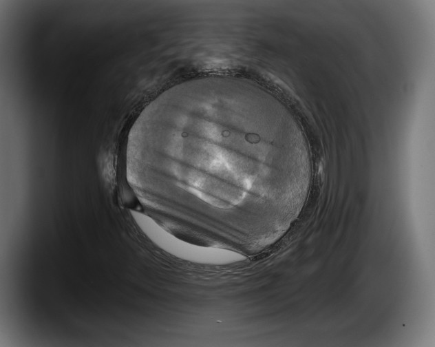 X0000087511348200705251610