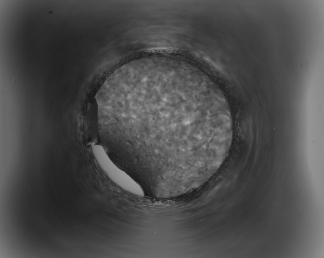 X0000087511351200705251610