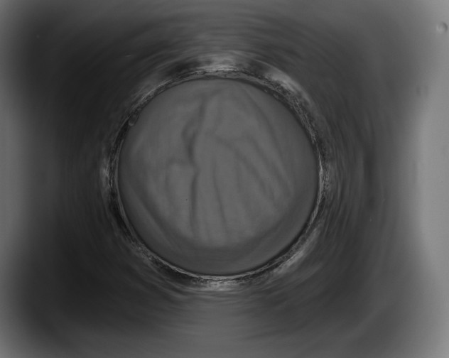 X0000087511353200705251610