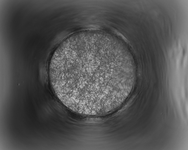 X0000087511354200705251610