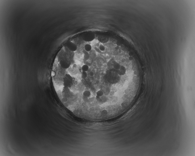 X0000087511355200705251610