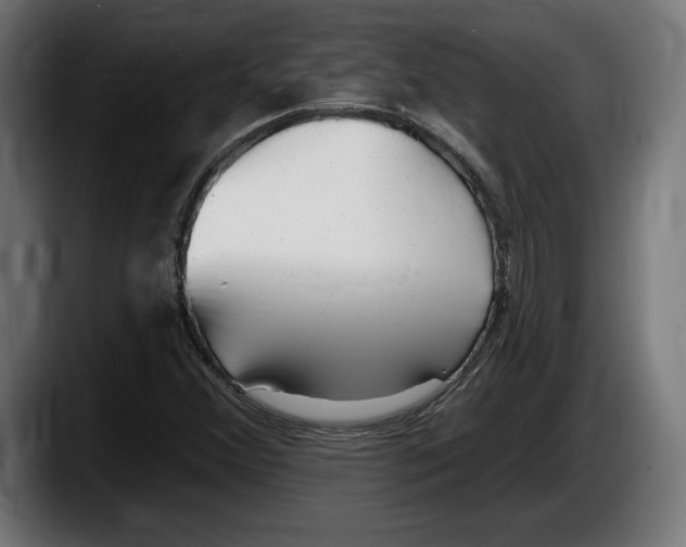 X0000087511356200705251610