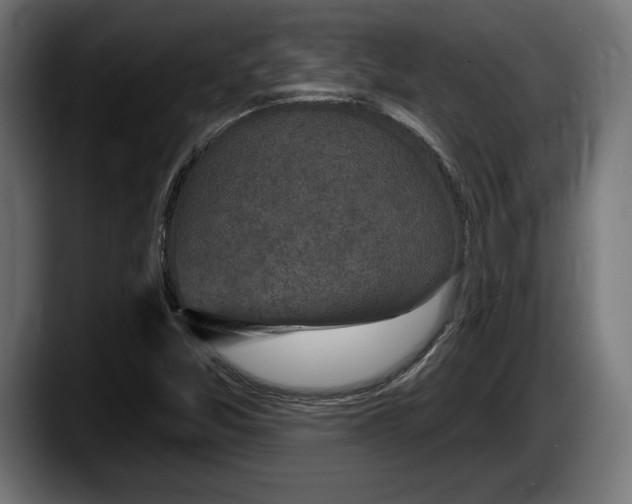 X0000087511357200705251610