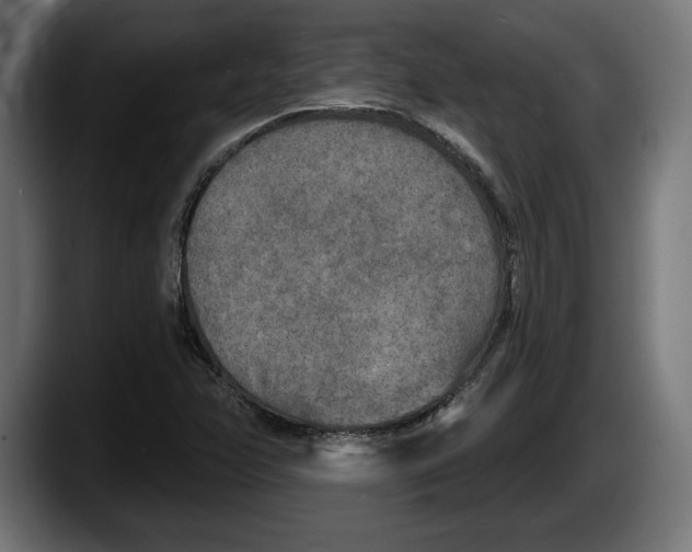 X0000087511358200705251610