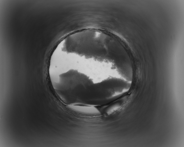 X0000087511359200705251610