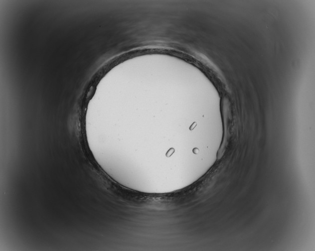 X0000087511360200705251610