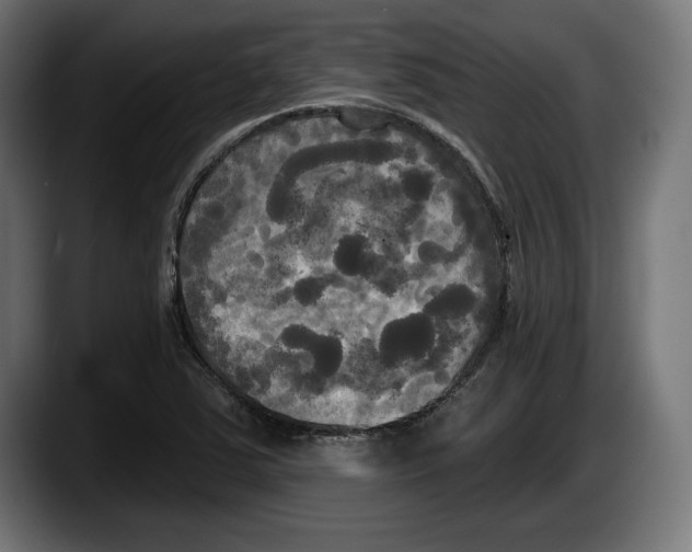 X0000087511363200705251610