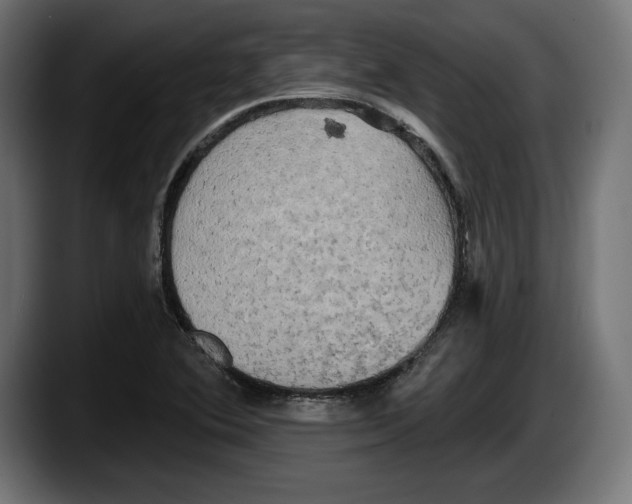 X0000087511364200705251610