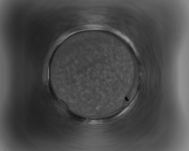 X0000087511365200705251610