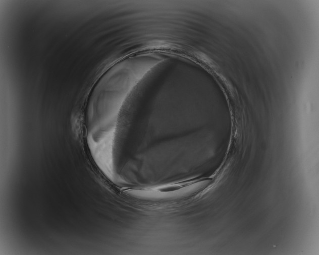 X0000087511369200705251610