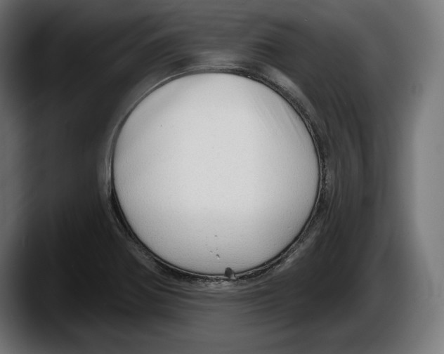 X0000087511370200705251610