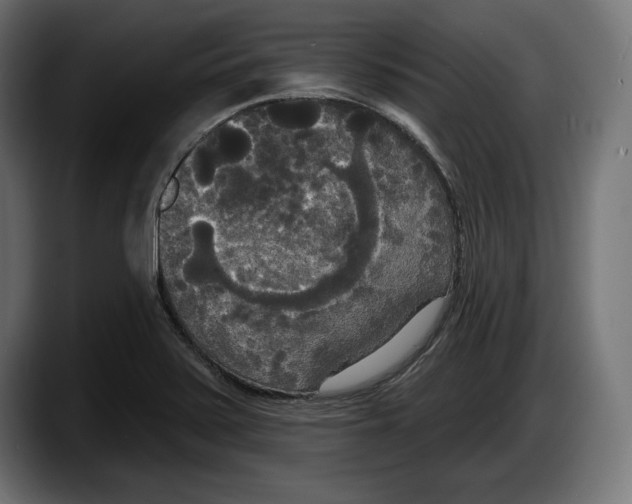 X0000087511371200705251610