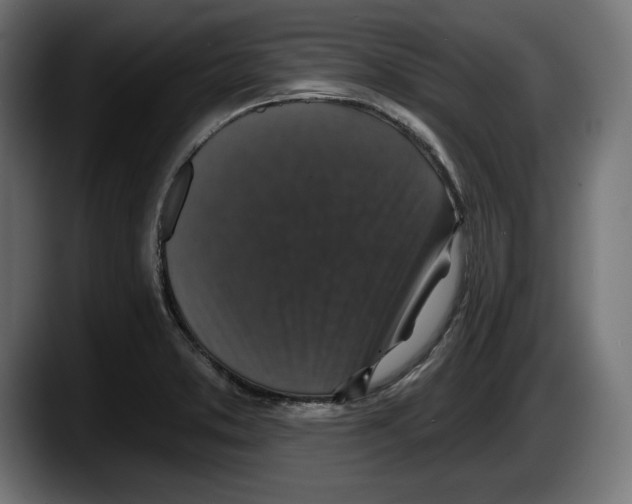 X0000087511373200705251610