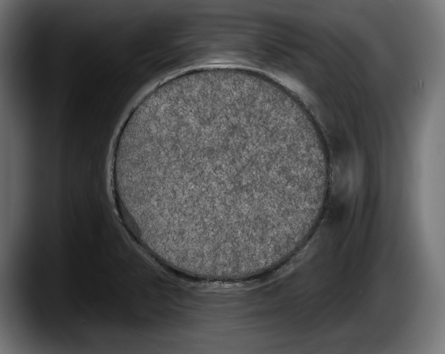 X0000087511374200705251610