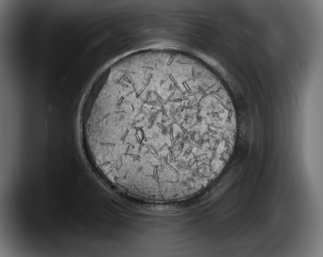 X0000087511375200705251610