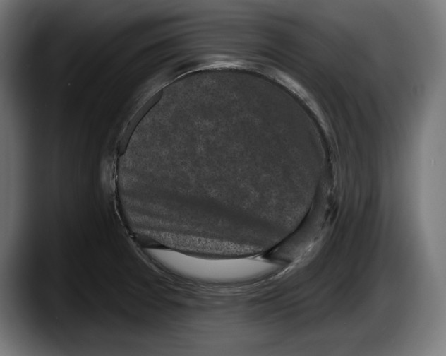 X0000087511377200705251610