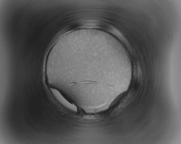 X0000087511378200705251610