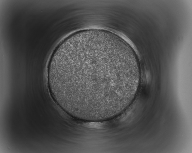 X0000087511380200705251610