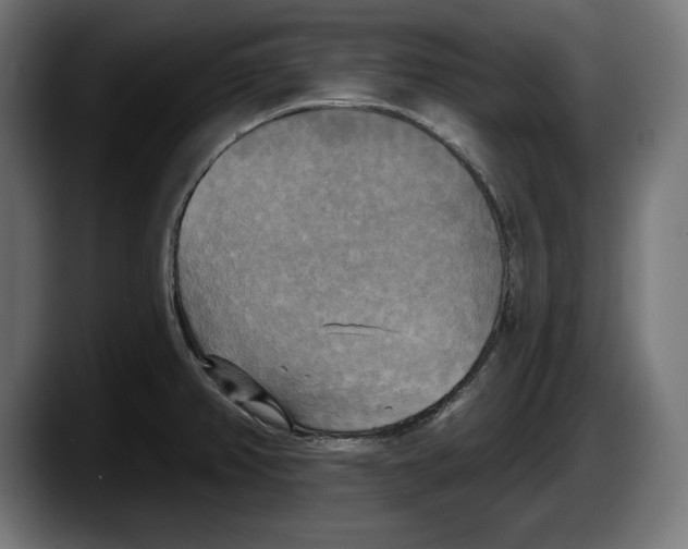 X0000087511382200705251610