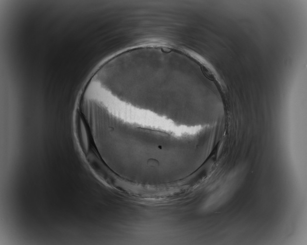 X0000087511383200705251610