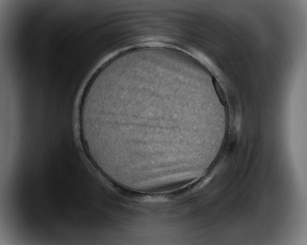 X0000087511384200705251610