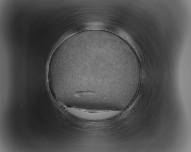 X0000087511386200705251610