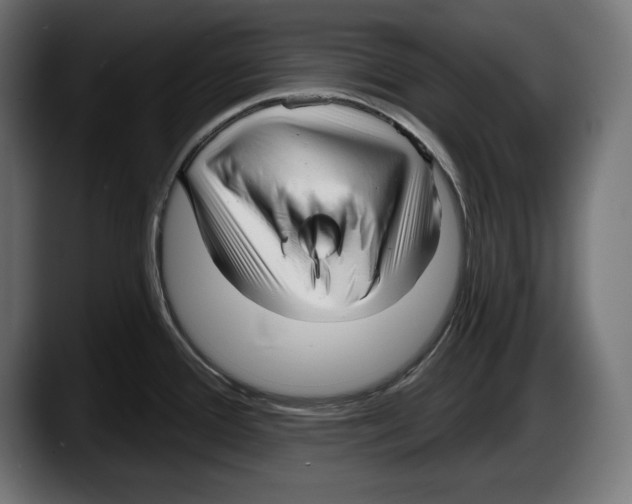 X0000087511388200705251610