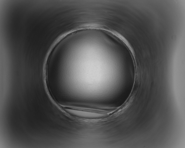 X0000087511389200705251610