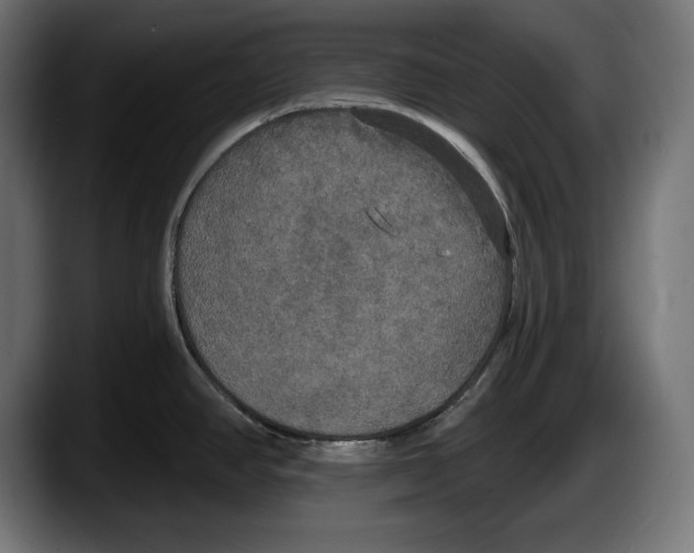 X0000087511390200705251610