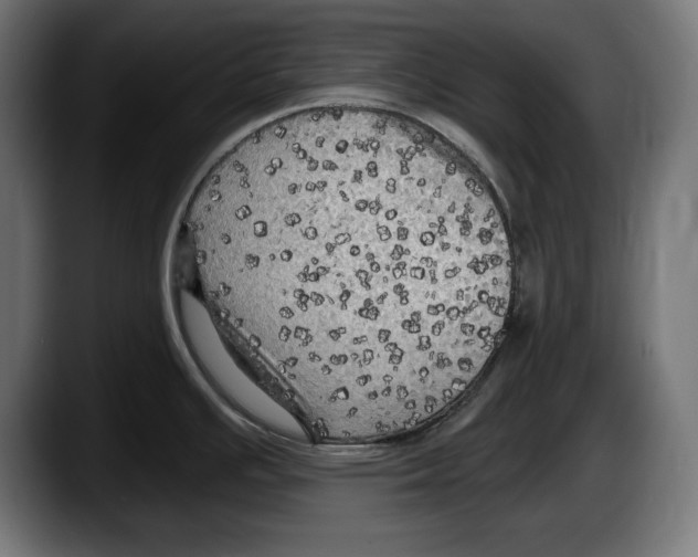 X0000087511391200705251610