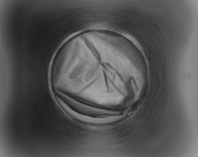 X0000087511392200705251610