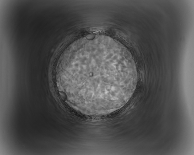 X0000087511393200705251609