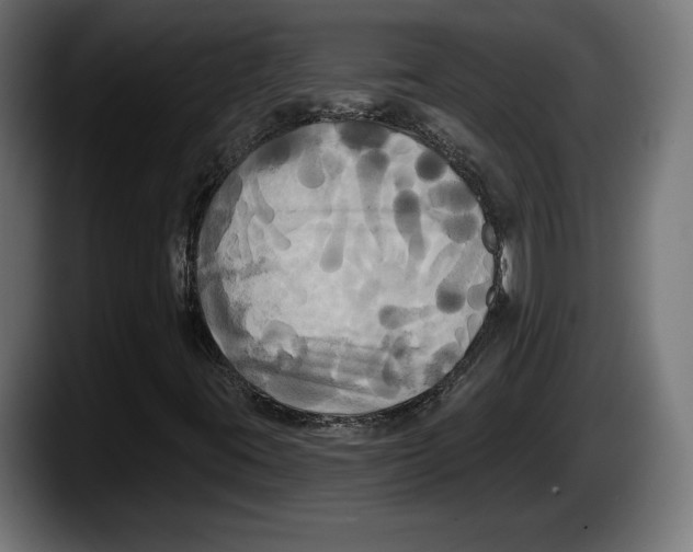 X0000087511395200705251609