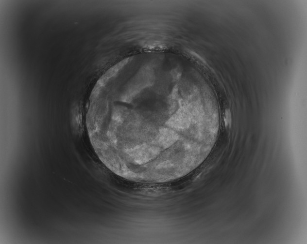 X0000087511396200705251609