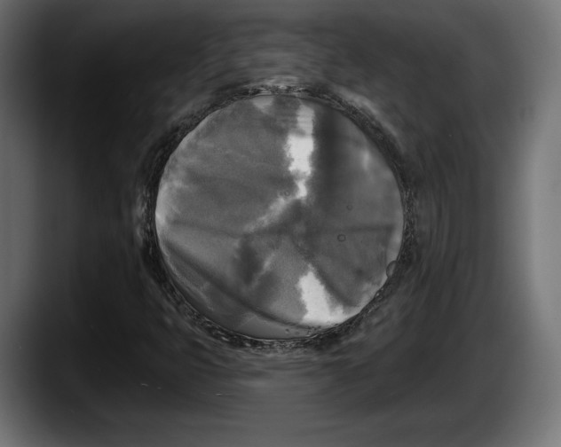 X0000087511399200705251609