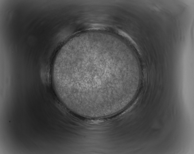 X0000087511403200705251609