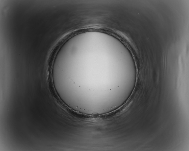 X0000087511406200705251609