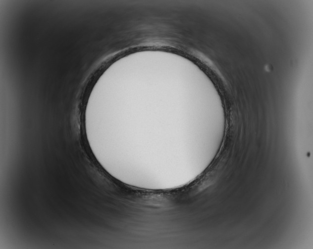 X0000087511408200705251609