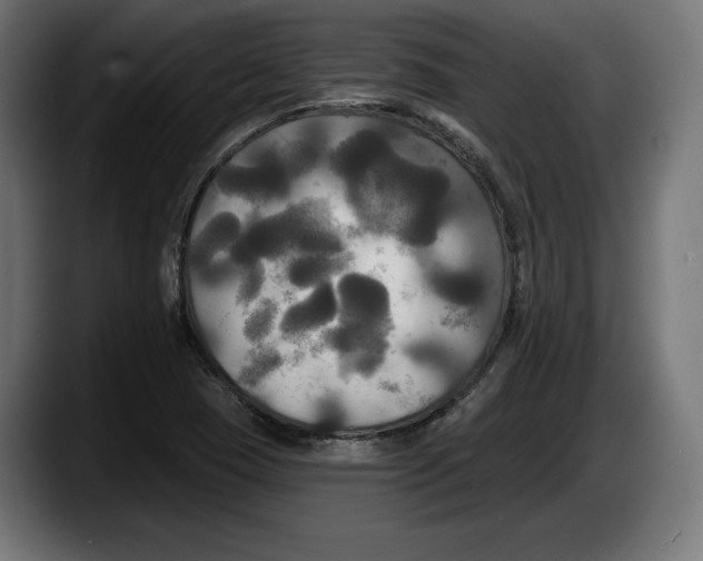 X0000087511409200705251609