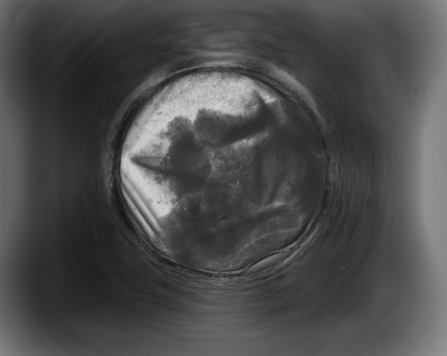 X0000087511411200705251609