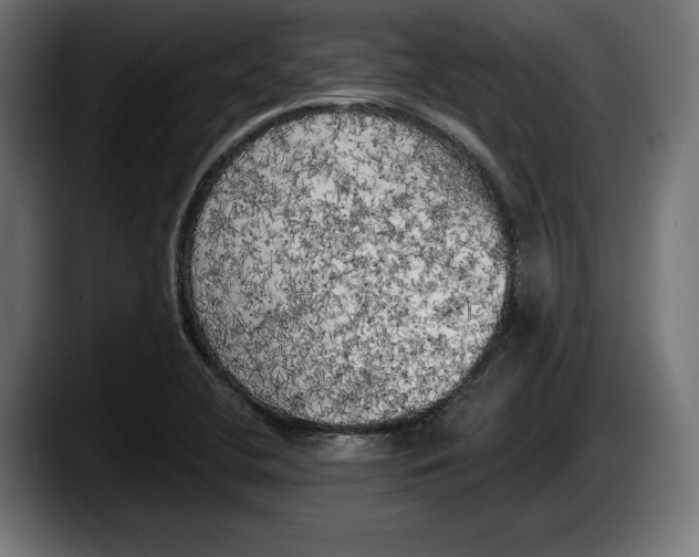 X0000087511412200705251609