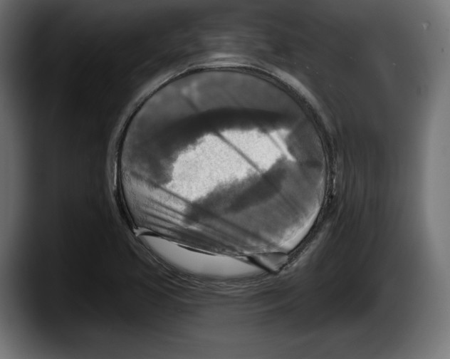 X0000087511413200705251609