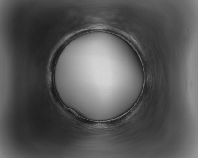 X0000087511414200705251609