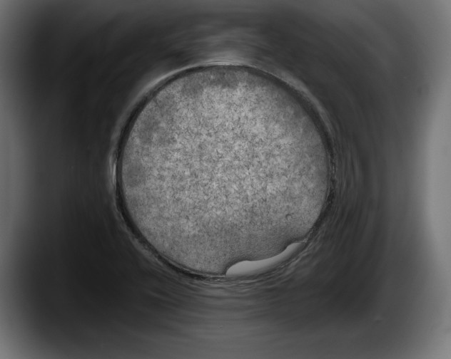 X0000087511416200705251609