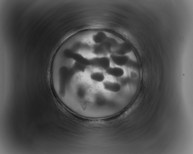 X0000087511417200705251609